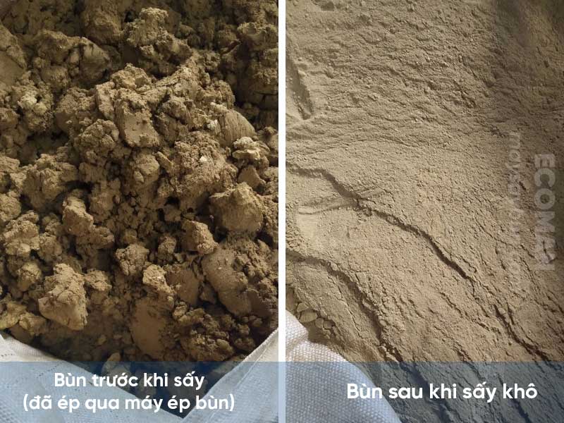 say-bun-thai-det-nhuom